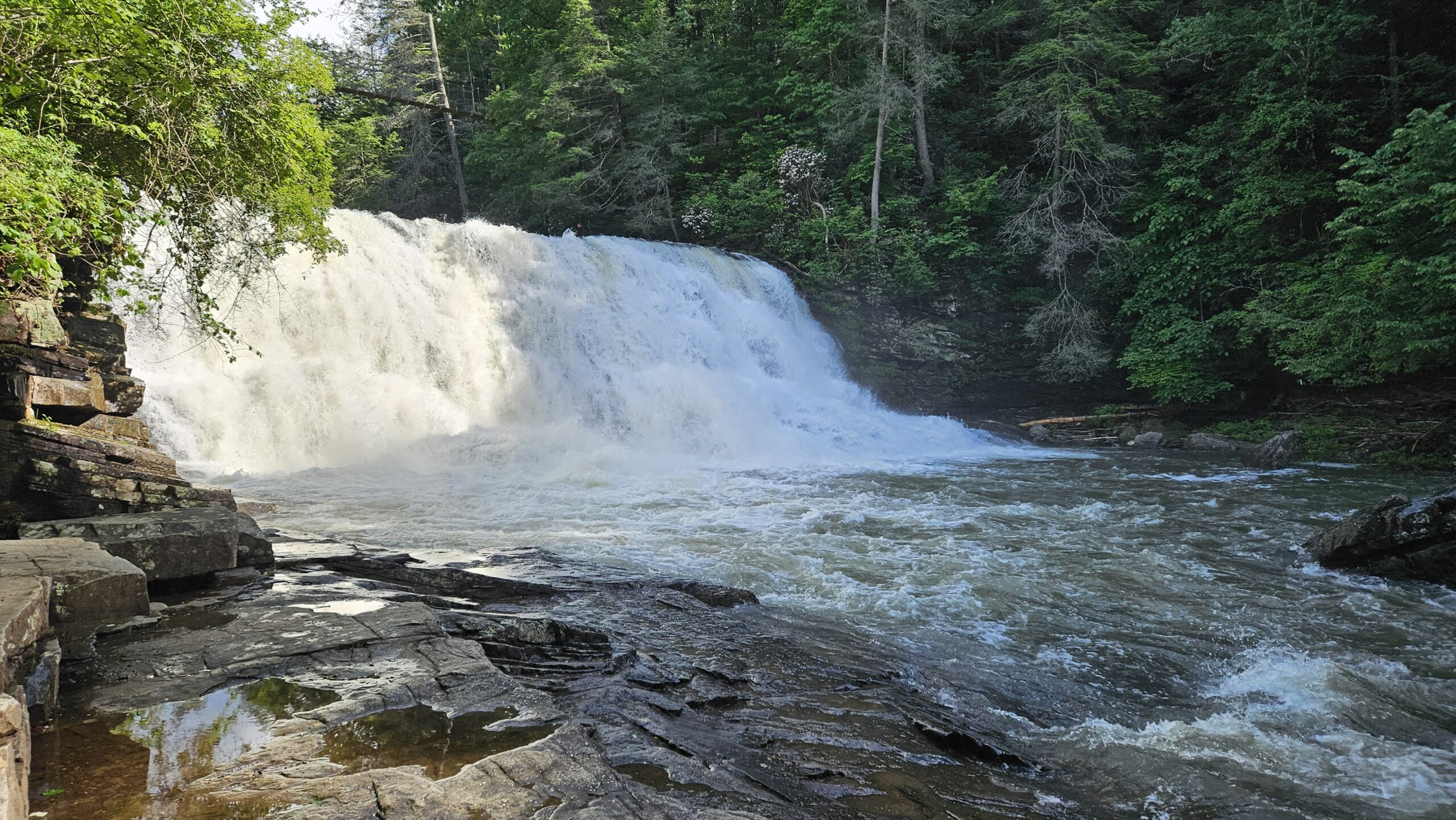 A gentle sloped waterfall called the Cascades of Cane Creek. The water was very high on this trip.